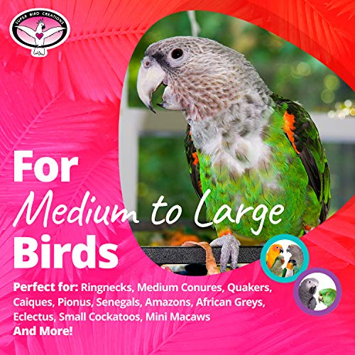 Super Bird Creations - SB301 Chewable Paper Party Bird Toy with Colorful Lollipop Sticks - Ringnecks Medium Conures Parrot - Chew Enthusiasts - Enriching Bird Toys for Medium to Large Birds - 1-Pack - size: Large