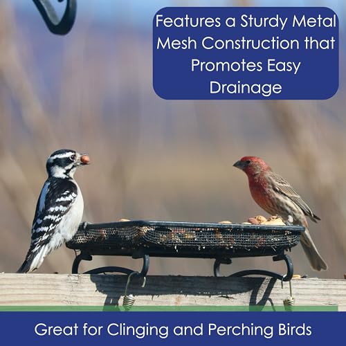 Ground and Deck Tray Feeder for Birds and Squirrels | Black Steel Mesh Tray Feeder - Holds 2 Cups of Seed, Nuts, or Mealworms for Ground Birds, Squirrels, Chipmunks, and Rabbits