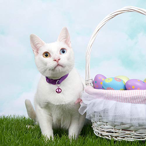 Outus 24 Sets of Cat Bells for Cat and Dog Collar Pendant Pet Bell Pet Pendant Accessories - color: Mixed Color