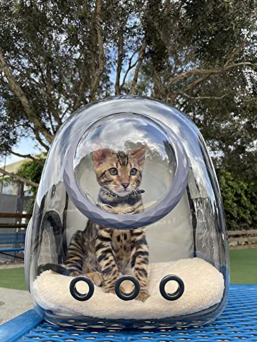 Bubble Cat Carrier Backpack, Transparent Pet Carrier Backpack for Small Puppy and Bunny, Space Capsule Bubble Cat Backpack Carrier, Airline Approved Waterproof Green Pet Backpack for Small Dog - color: Black