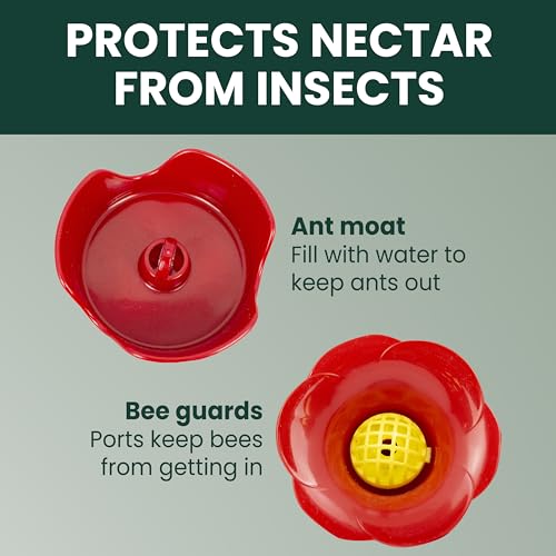 Perky-Pet Red Pinch-Waist Plastic Hummingbird Feeder, 8 oz Capacity | Built-in Bee Guards and Ant Moat for Outdoor Bird Feeding Station and Backyard Wildlife, Hummingbird Feeders for Outdoors - size: No Size