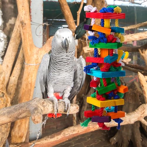 Soulchen 4 Pcs Extra Large Bird Parrot Toy Set Natural Wooden Chewing Toy, Rattan Ball, Wood Nut Loofah String (Bagged) for Large Medium Macaws, African Grey, Parrots (Colorful Ring) - style: Colorful Ring