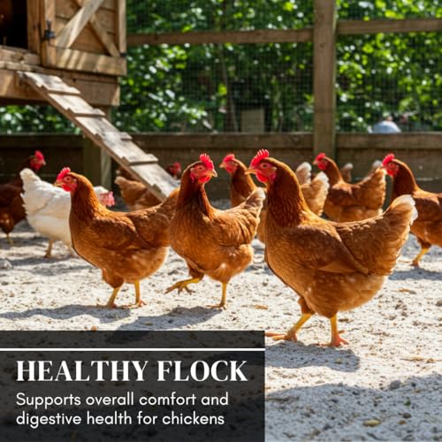 Chicken Sand – 20 lb Resealable Bag – Natural Fresh Water Sand for Coops and Dust Baths – Helps Maintain a Dry, Clean Environment and Supports Digestion