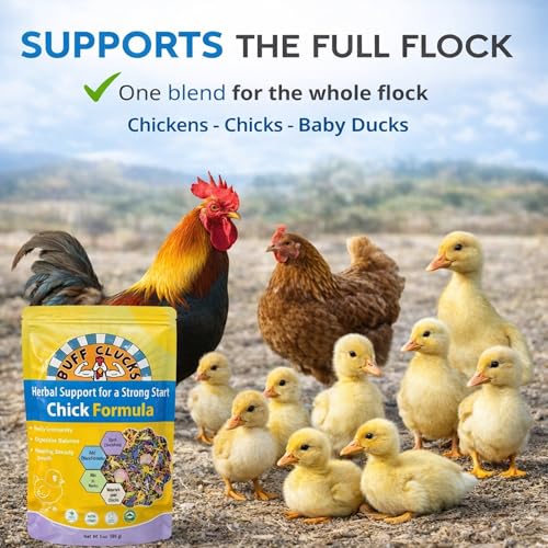 Buff Clucks Herbal Chicken Supplements Natural Poultry Herbs for Baby Chick | Plant Based Herbs Improves Chick Immunity Chicken Food for Egg Production Healthy Coop Snack Treats for Chick Reduce Stress - size: 3 Ounce (Pack of 1)