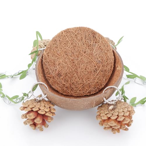 Bird Natural Coconut Nest Sugar Glider Hanging Swing Toy with Coconut Fiber Mat for Small Bird Parrot Parakeet Sugar Glider