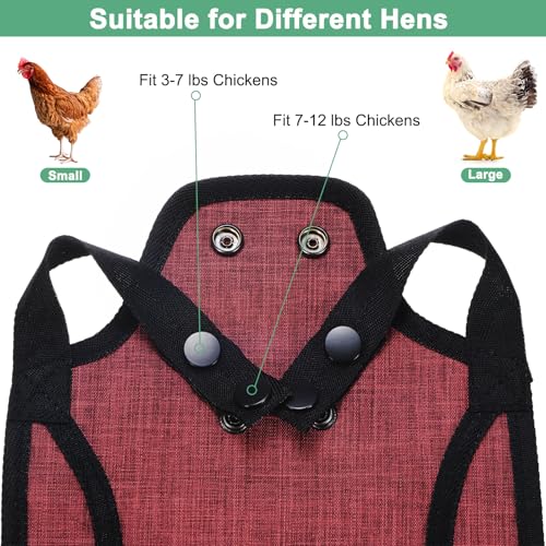 M METERXITY 4-Pack Premium Chicken Saddle, 25.4cm/10" Hens Saddle with Adjustable Strap Birds Feather Protector for Back and Sides Poultry Saver for Hens and Roosters [Red,Blue Each 2] - color: Red,Blue