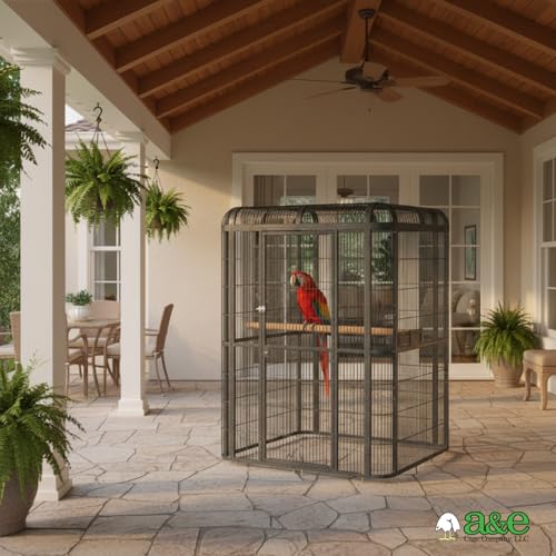 A&E Cage Co WI6262 Walk-in Bird Aviary for Parrots, 62"x62"x79" Black | Key-Lock 69"x25" Door, 3 Swing-Out Feeder Stations, Stainless Steel Bowls, Fits African Greys, Amazons & Cockatoos - size: 62.0"L x 62.0"W x 79.0"H