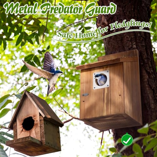Dreyoo 4 Pack Bluebird Houses for Outside with Metal Predator Guard, 1-1/2" Entrance Hole Wooden Blue Bird Houses for Outdoors, Bluebird Nesting Box(Burnt Wood) - color: Burnt Wood