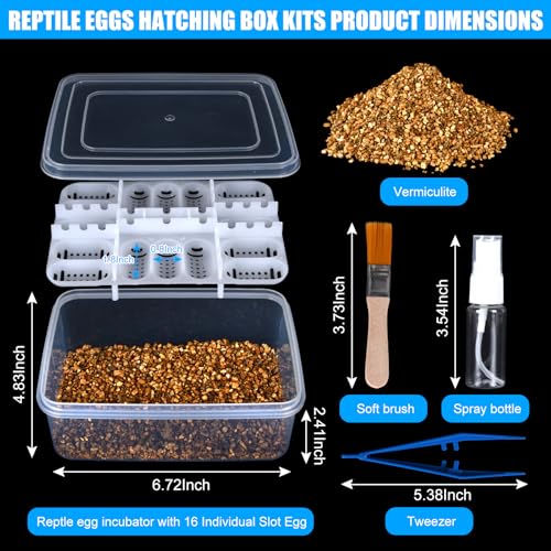 16 Grids Reptile Egg Incubator Box Turtle Lizard Gecko Snake Hatching Container Complete Kit with Tweezers Clip Vermiculite Spray Bottle