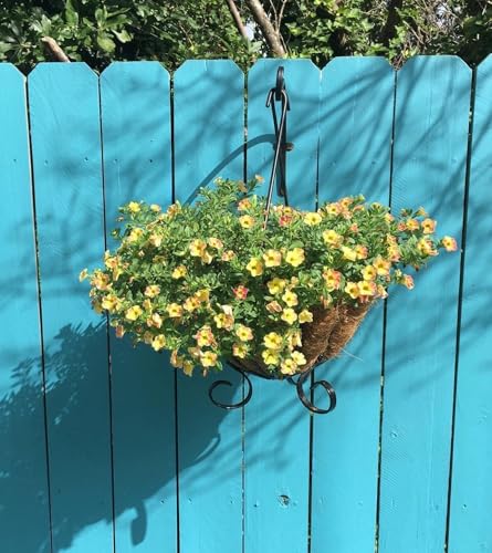 8 Pack Heavy Duty Plant Hanger Bracket 16Inch Hanging Brackets for Outdoor | 80lbs Holding Capacity Outdoor Hanging Brackets Metal Plant Wall Hook Black Hanging Plant Hanger for Flower Wind Bird Feeder - size: 16Inch-8PCS