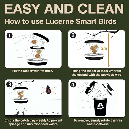 SWISSINNO Bird Feeders - No Mess Fat Ball/Suet Feeder for Outdoors Hanging - Smart Birds Lucerne Spill Proof Wild Cardinal Bird Feeder with Integrated Seed Catcher Tray - Sage - color: Sage, style: Lucerne
