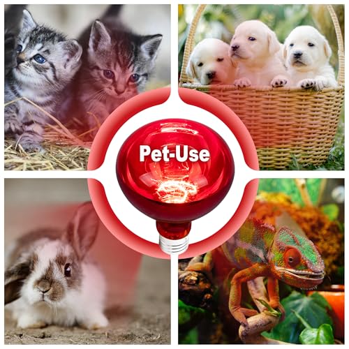 250 Watt Heat Lamp Bulbs for Chicks, R40 Heat Lamp for Chickens, Infrared Heat Bulbs for Brooder Heater, 250W Incandescent Heat for Pet, Bathroom, Food (2 Pack)