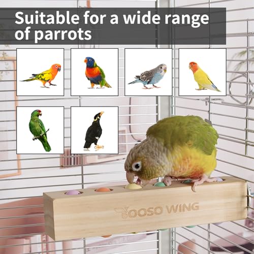 Bird Toys & Bird Perch, Bird Wooden Block Chewing Toy Parrot Foraging & Puzzle Toys Bird Cage Accessories for Conures Parakeets Cockatiels Lovebirds African Grey Macaws (Spinning Ball) - color: Spinning Ball
