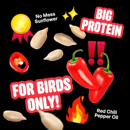 Cool Birds Hearts on Fire Hot Bird Seed, 10 lb | 100% Hulled Sunflower Hearts with Chili Pepper Oil – No Waste Bird Seed for Outside Feeders