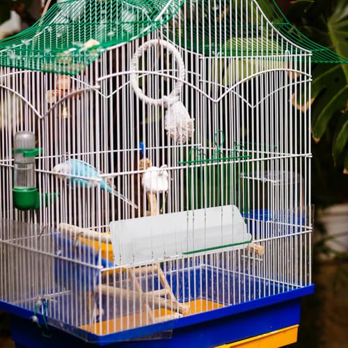 Toddmomy Automatic Bird Feeder Hanging Outdoor Bird Food Tray Anti-Splash Seed Dispenser 2pcs and Cockatiels