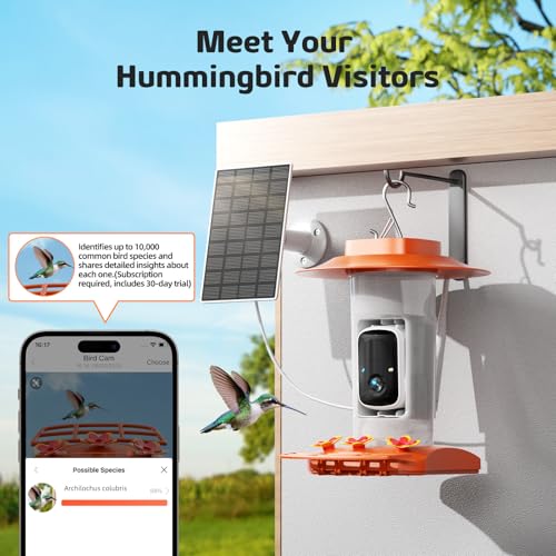 Hummingbird Feeder with Camera Outdoor, Solar Powered Hanging Bird Feeder | Ant Moat & Bee-Proof, AI Bird ID, HD 2K, Instant App Alerts, Auto Capture, Garden Gift for Hummingbird Lover & Mom Dad, 21oz - color: Orange
