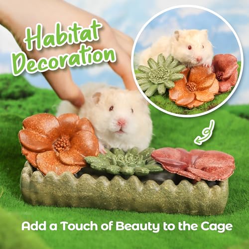 TEEWY Guinea Pig Chew Toys, Prevent Teeth Overgrowth, Natural Timothy Grass & Vegetables, Hamster Chew Toys, Guinea Pig Toys, Chinchilla Toys, 4PCS, Grass Patch & Flowers - style: 4PCS-Grass Patch & Flowers