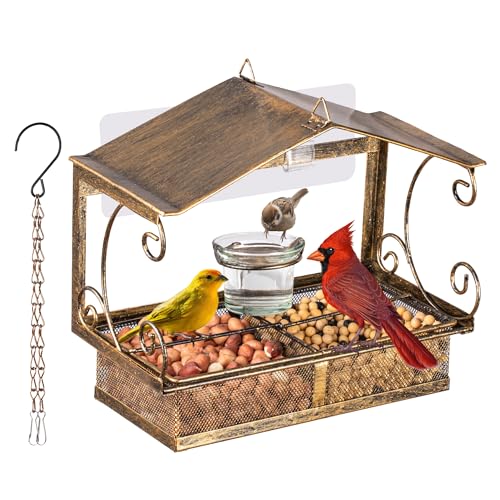 Window Bird Feeder for Outdoors | Glass Water Cup, Hook Chain Included, Attracts Wild Birds, Gift for Bird Lovers