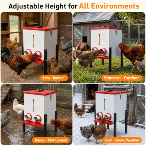 PETNF 55LB Automatic Chicken Feeder, 40L Metal No Waste Poultry Feeder with Rat-Proof Design, 4 Feeding Ports, Weatherproof Locking Lid, Height-Adjustable Legs for Chickens, Ducks and Geese