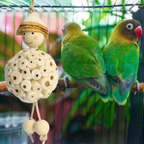 Bird Parrot Foraging Shredder Hanging Toys Sola Ball, Parrot Chew Shred Toy | Cage Accessories for Sharpening Claws and Beaks for Small Birds, Cockatiel, Conure, Parakeets, Love Birds, Budgie