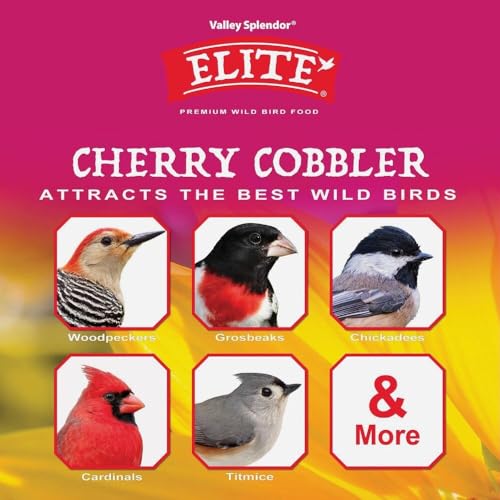 Cherry Cobbler, 20-Pound (9512) - size: 20 Pound (Pack of 1)