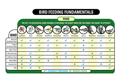 Wagner's 62011 Eastern Regional Blend Wild Bird Food, 8-Pound Bag - size: 8 Pound (Pack of 1)