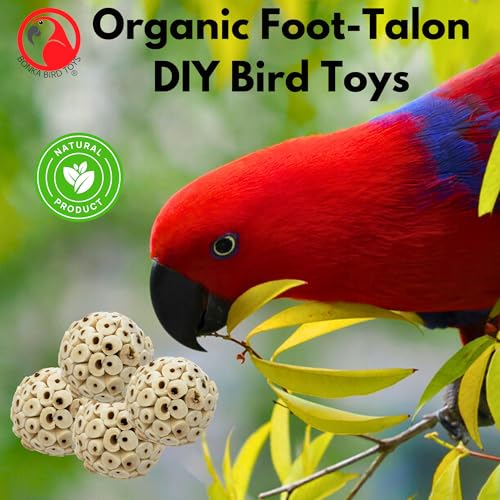 Bonka Bird Toys 2354 Pk4 Small Sola Atta Ball, 1.75"-2" Diameter, Soft Natural Sola Plant Material, Ideal Chew and Foot Toy for Conures, Ringnecks, Parakeets and Similar Breed Sizes - size: Pack 4