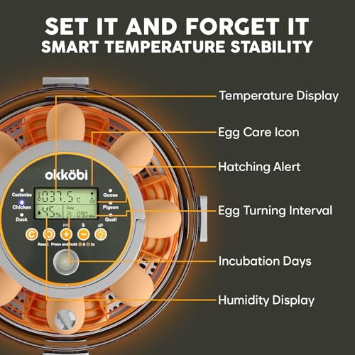 Egg Incubator with Automatic Egg Turning and Humidity Control – 12 or 20 Egg Incubator for Hatching Eggs – incubadora de huevos de gallina – Smart Temp Adjust – Candling Lamp