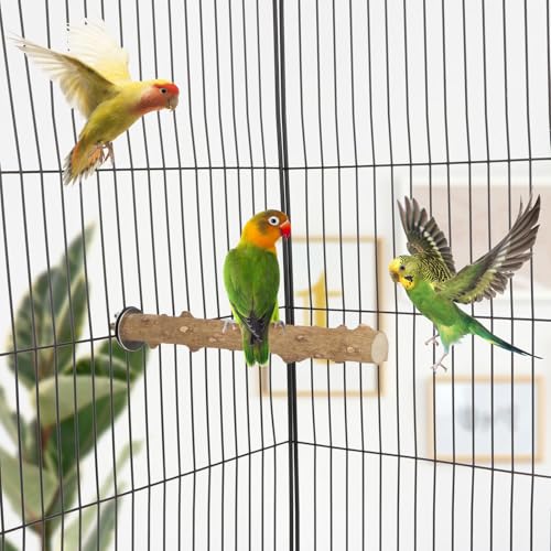 Hypeety Natural Prickly Ash Wood Bird Perch Stand Paw Grinding Perch Toy | Natural prickly ash wood, bark texture for grip, chew-proof and durable, for budgie/parakeet/cockatiel/lovebird, 7.86''/20cm - size: 7.86 inch