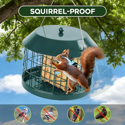Gbekery Caged Suet Bird Feeder for Outdoors Hanging, Squirrel Proof Double Suet Feeder for Small Birds, Metal Cage with Detachable Hook, Large Space, Outdoors Weatherproof, Green - style: Green Suet Cage