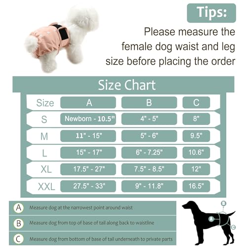 Washable Female Dog Diapers - Premium Reusable Diapers for Doggie in Heat - Highly Absorbent Dog Diapers Female for Pet Incontinence with Adjustable Snaps Pink, S - color: Morandi-2, size: Small（New Born-11.5“Waist）