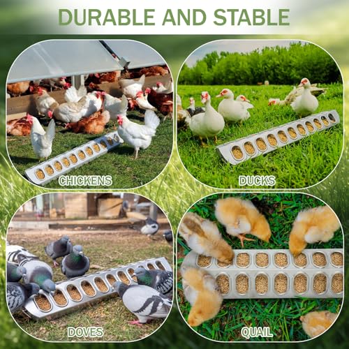 Potchen 2 Pcs Slide-top Poultry Feeder Durable Galvanized Metal Chicken Feeder Trough with Removable Top Trough Multi-Hole Tray for Pigeon Quails Duckling Birds Duck Chicken(20 Inch) - size: 20 Inch