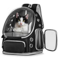 Cat Backpack Carrier with Large Space Bubble Window, Airline Approved Breathable Pet Carrier for Small Dogs Cats up to 15lbs, Foldable for Travel Hiking & Outdoor Use - color: Black