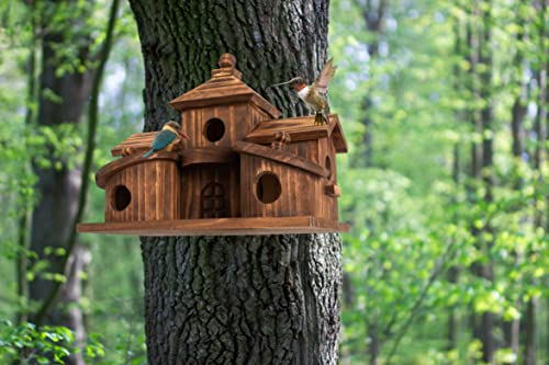 COLEBA Bird Houses for Outside,Outdoor 5 Hole Bird House Room for 5 Bird Families Bluebird Finch Cardinals Hanging Birdhouse for Garden