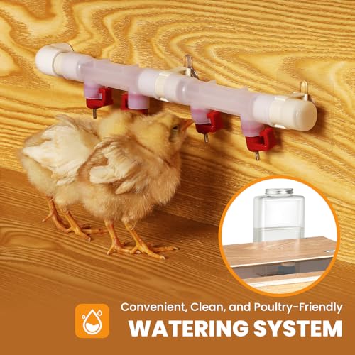 Brooder for Chicks, 32" Chicken Brooder with Feeder & Waterer | Upgrade Sliding Door Design, Super Easy to Clean Up to 30 Chicks 32" L x 16" W x 16" H
