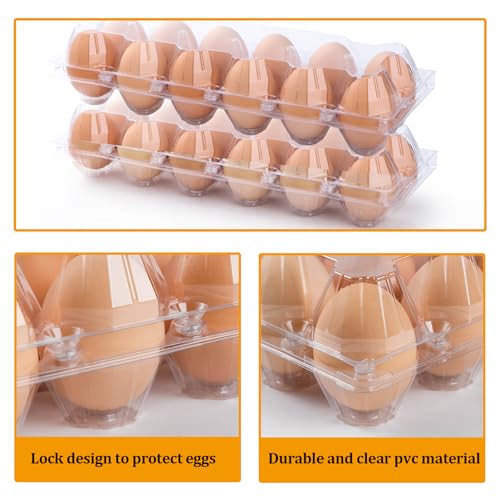 100 Pack Plastic Egg Cartons Cheap Bulk 12 Count, Clear Egg Trays 2x6 Grids | Bulk Egg Carton Fits Small to M Chicken Eggs, Reusable Egg Holder/Container for Family, Chicken Farm and Markets - size: 100P2×6