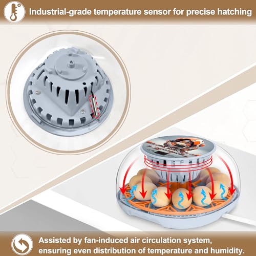 Smart Chicken Incubators for Hatching Eggs with Automatic Turner Small Poultry Duck Quail 12 Egg Incubator Temperature Control Display Hatcher Machine (Mechachick, ℉) - color: Mechachick