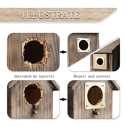 6-piece Metal Bluebird House Predator Guard，Metal Birdhouse Guard，Bird House Hole Protector Guard for Eastern Bluebird Box （3.81 cm Opening）