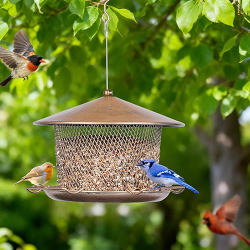 Bird Feeder for Outdoor Metal Hanging 9.8" Roof 4.5 LBs Capacity | Heavy Duty, Waterproof, Weatherproof, Rustproof, Chew Proof, 4 Feeding Ports and 4 Extra Perches, Easy to Clean & Refill