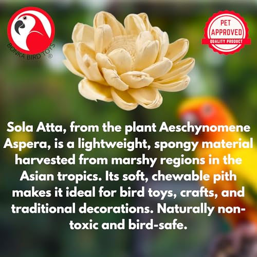 Bonka Bird Toys 3604 PK6 Sola Flower Foot Talon Craft Part Bird Toy Natural Foraging Chew Health Treat for Small to Medium Sized Birds and Other Small Pets