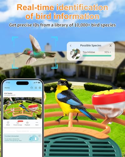 Bird Feeder with Camera, 2K HD Camera Birds Feeder with AI Bird Recognition, Solar Powered Smart Birdfeeder with App Control, Color Night Vision, Gift Box Package, Easy Install & Family Sharing - color: Dark Green, size: Stand