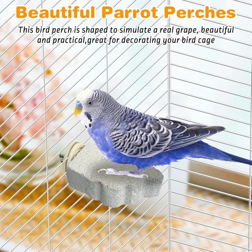 PINVNBY 6 PCS Bird Perch Parrot Beak Grinding Stone Calcium Mineral Parrot Perch Foot Claws Trimmer Chewing Toy Bird Cage Accessories for Small Medium Budgie Cockatiel Conure Lovebird (Grape)