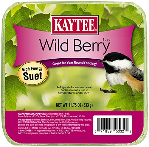 Kaytee Wild Berry High Energy Bird Suet, 11.75 Oz - size: 11.75 Ounce (Pack of 1), style: Wild Berry