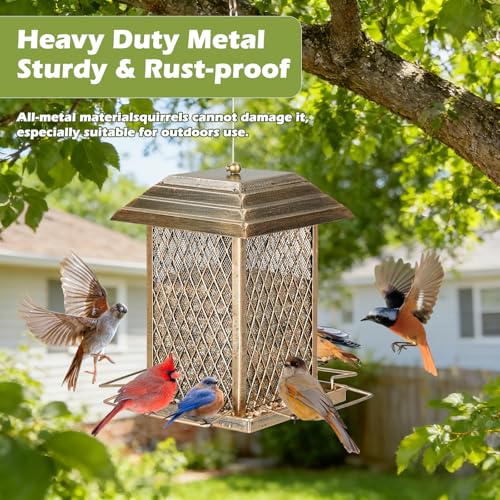 Bird Feeder, 6LB Large Capacity Metal Bird Feeders for Outdoor Hanging | Heavy Duty, 4 Perches, Drain Holes, Easy to Fill, Sturdy Wild Birdfeeder, For Outside Garden Yard - color: Large, 6 lbs