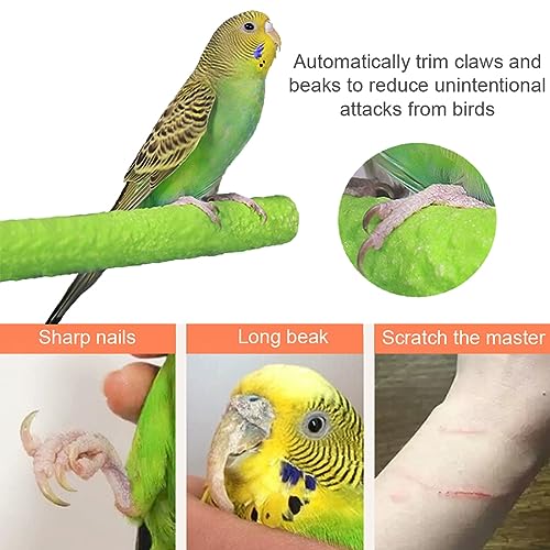 Hamiledyi 4 PCS Parrot Perch Stand Toy 7.9x0.8inch Bird Cage Perch Natural Paw Grinding Stick for Medium Parrots Parakeets Cockatiels Lovebirds Chewing Stick (M)