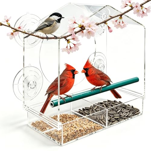 Clear Acrylic Window Bird Feeder for Outside - Transparent Glass Mount Birdhouse with Strong Suction Cups & Tray - Easy Indoor Viewing for Cats, Kids & Elderly