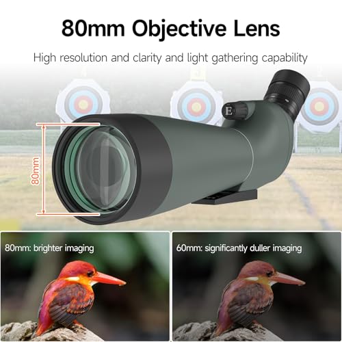 SVBONY SV28 New Version Spotting Scope, 20-60x80mm for Target Shooting, HD | FMC Coating, Long Range Spotter Scope, Shooting Range, with Phone Adapter & Tripod, for Bird Watching, Wildlife Viewing - style: 20-60x80