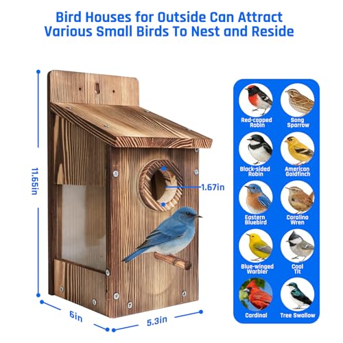 2PCS Bird Houses for Outside – Carbonized Bluebird Houses for Outside With Round Entry Hole & Perch， Features Clear View Window & Predator Guard， Perfect for Bluebirds, Finches, Swallows & More