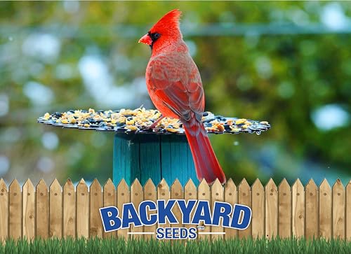 CountryMax 20 LB Backyard Seeds Premium Bird Seed | Supreme Wild Bird Food Blend for Outside Feeders, Medium Bag of Wild Bird Food - size: 20 Pound (Pack of 1), style: Premium Blend