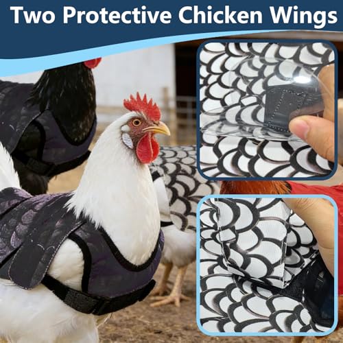 3-Pack Chicken Saddle for Hens, Back Protector with Removable Wings | Replaceable Oxford & clear wing covers protect hens’ back and wings from rooster mating, pecking and feather loss